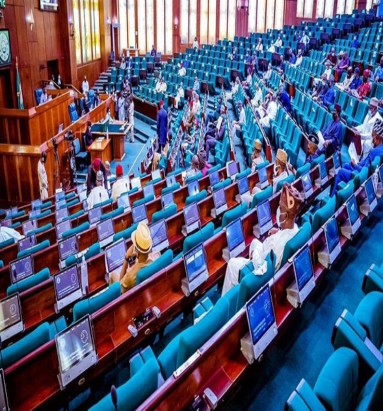 Nigerian Reps disagree over new constitution